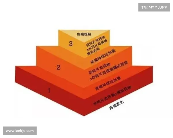 如何高效驯服狮鹫掌握训练技巧与注意事项的全面指南 如何高效驯服狮鹫掌握训练技巧与注意事项的全面指南