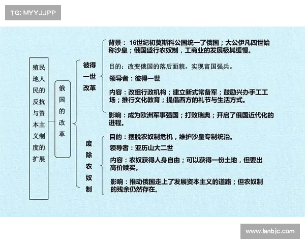 重新审视殖民地历史遗产与现代社会文化变革的深刻反思与探索