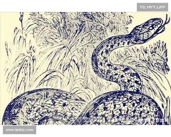 古代志怪传说中关于精怪力量的神秘故事与人间影响解析