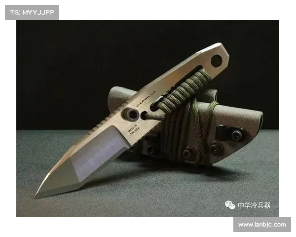 从坎贝尔多场比赛位置变化深入剖析其战术作用演变趋势及影响因素探讨