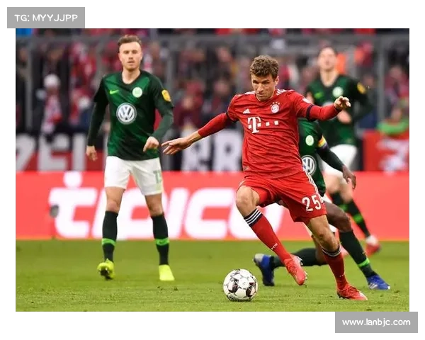 德甲新兴力量崛起 谁将成为拜仁统治时代的终结者 德甲新兴力量崛起 谁将成为拜仁统治时代的终结者