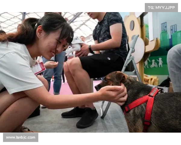 戴资颖亮相台湾宠物展 携爱犬共同展现温馨互动瞬间 戴资颖亮相台湾宠物展 携爱犬共同展现温馨互动瞬间